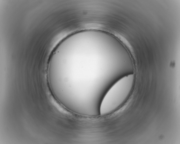 X0000091850941200709050933