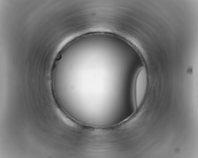 X0000091850942200709050933