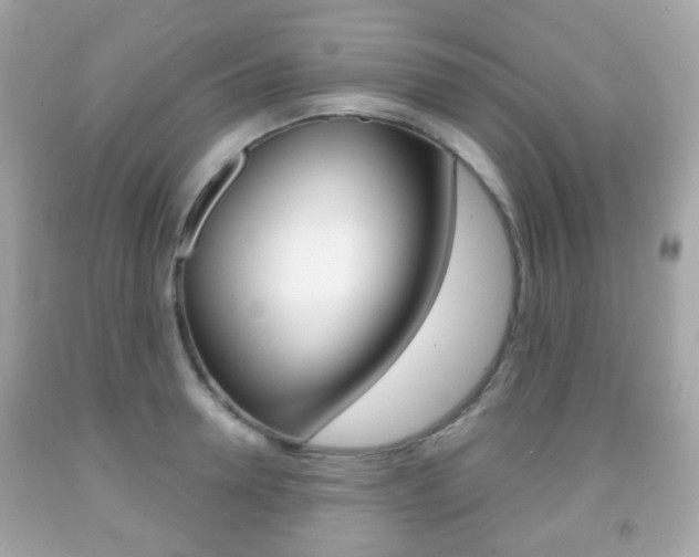 X0000091850946200709050933