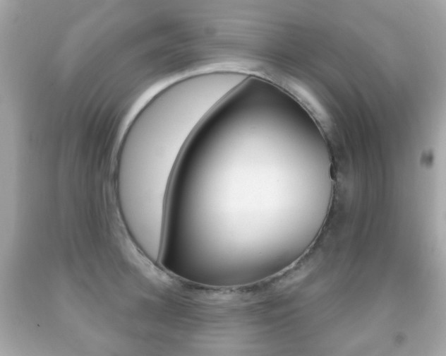 X0000091850948200709050933