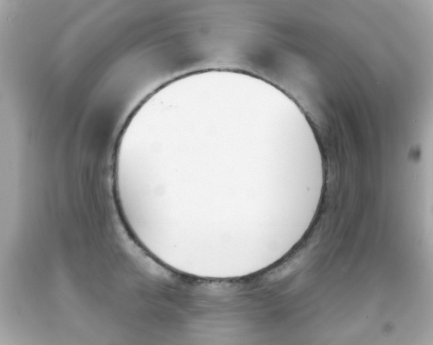 X0000091850950200709050933