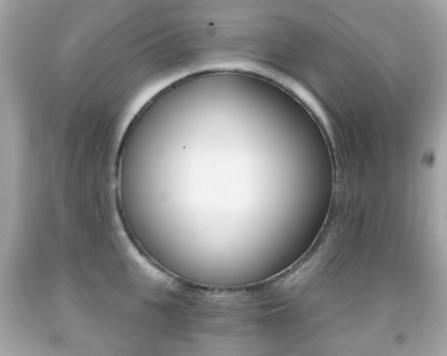 X0000091850951200709050933