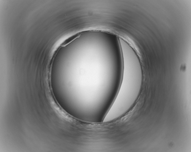 X0000091850952200709050933
