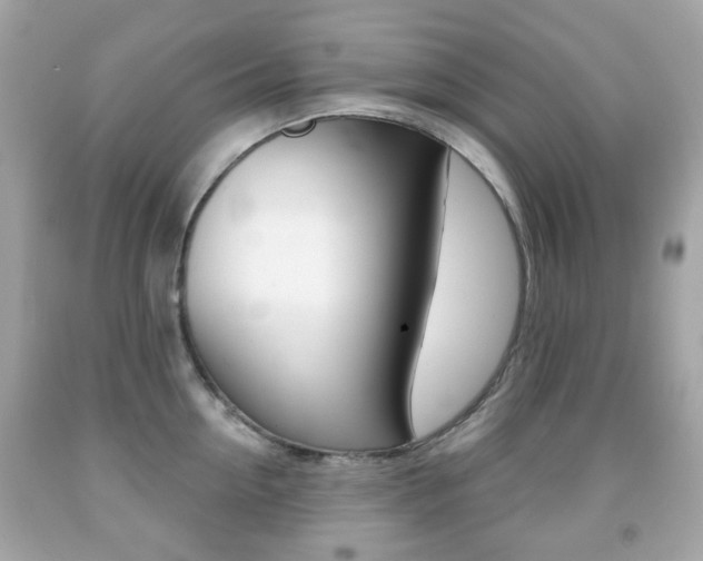 X0000091850954200709050933
