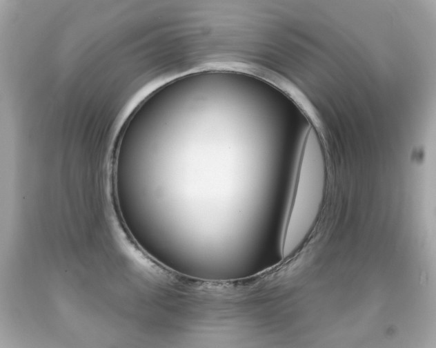 X0000091850955200709050933