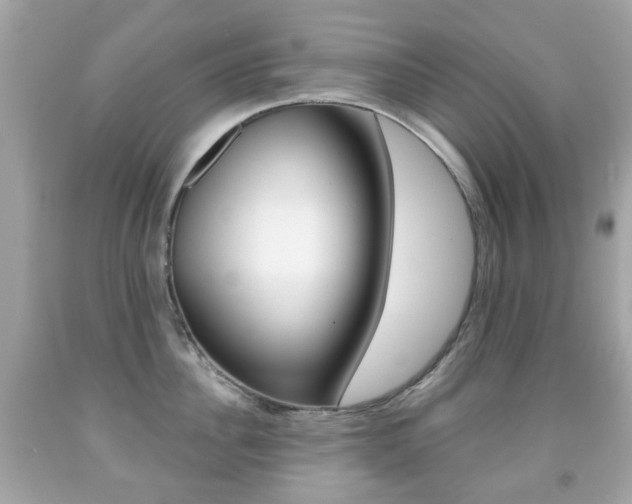 X0000091850956200709050933