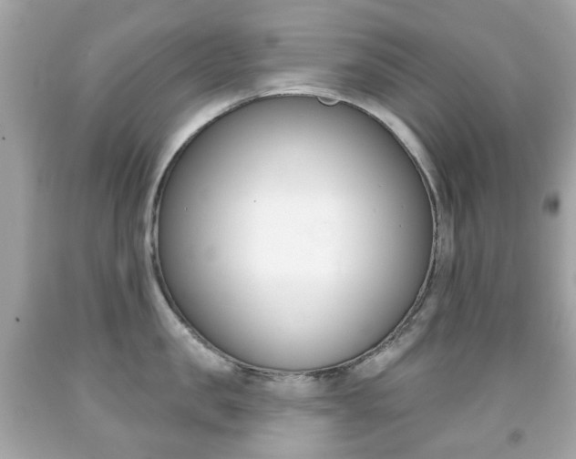 X0000091850957200709050933