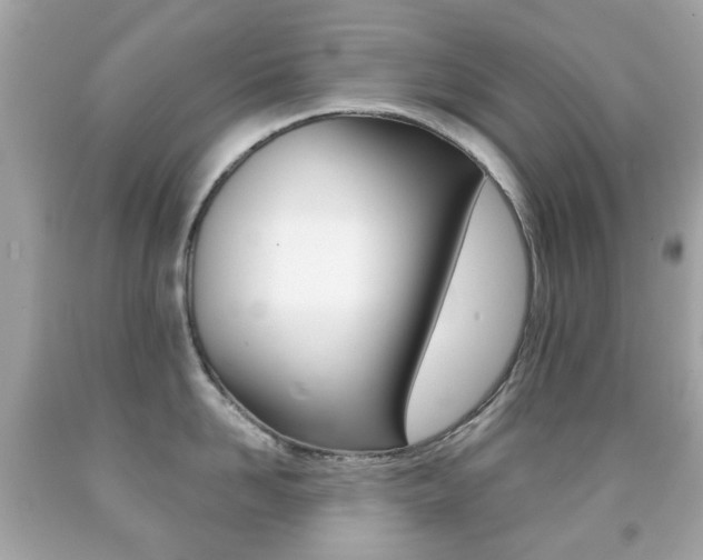 X0000091850958200709050933