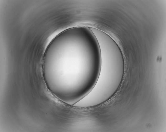 X0000091850960200709050933