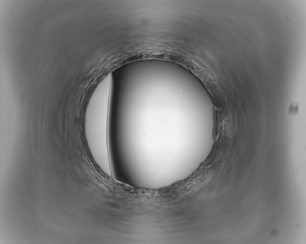 X0000091850961200709050932