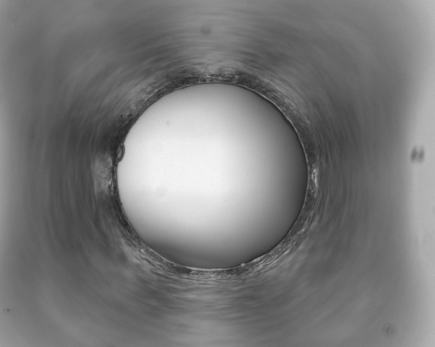 X0000091850963200709050932