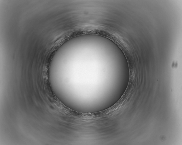 X0000091850964200709050932