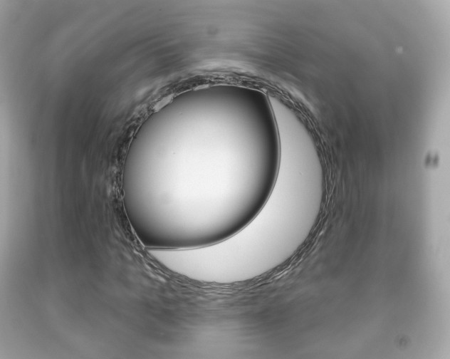 X0000091850965200709050932