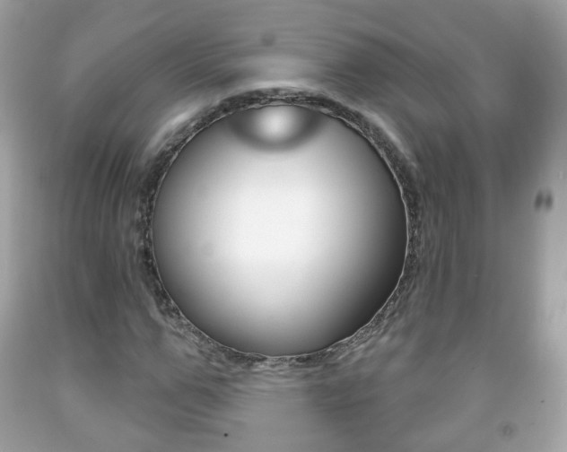 X0000091850967200709050932