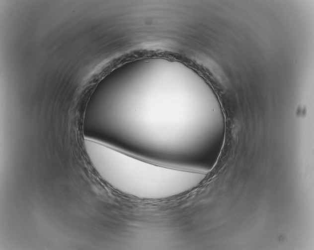 X0000091850968200709050932