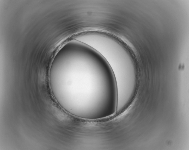 X0000091850969200709050932