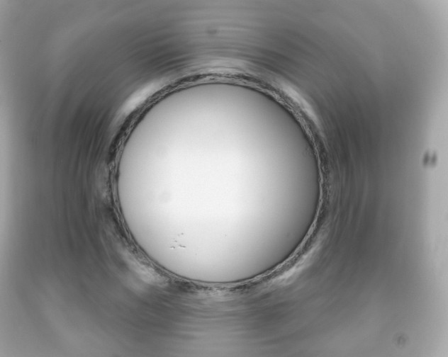 X0000091850970200709050932