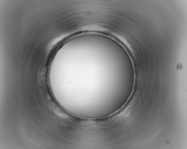 X0000091850971200709050932