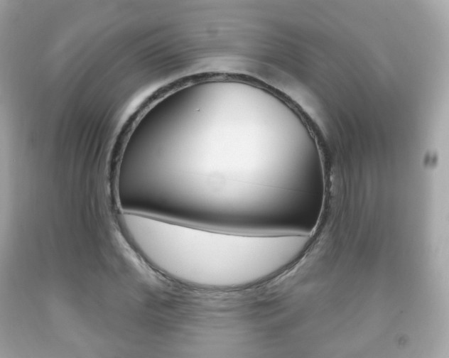 X0000091850972200709050932