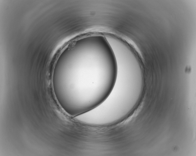 X0000091850973200709050932