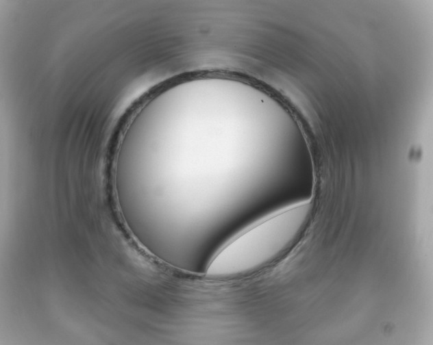 X0000091850975200709050932