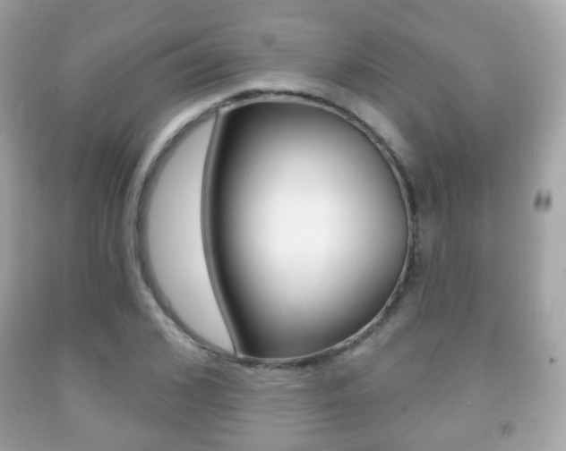 X0000091850976200709050932
