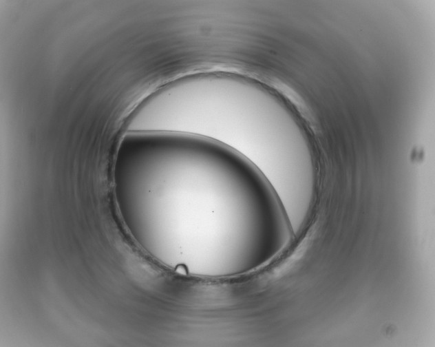 X0000091850977200709050932