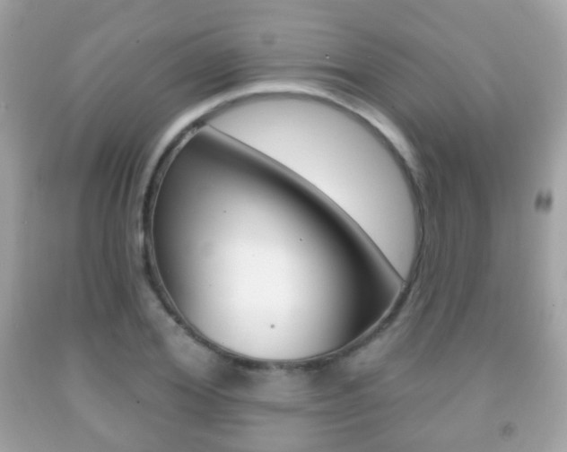 X0000091850980200709050932