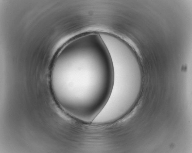 X0000091850981200709050932