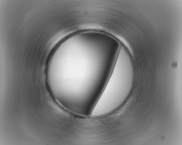 X0000091850983200709050932