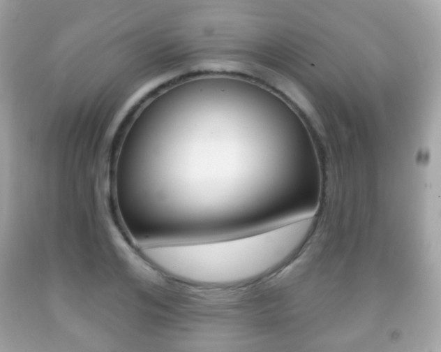 X0000091850984200709050932