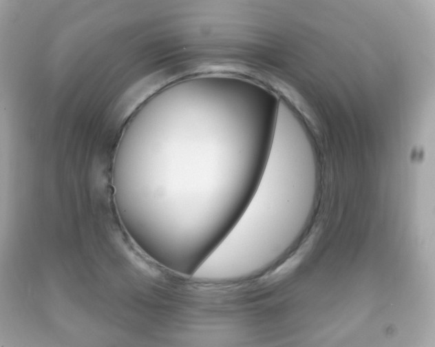 X0000091850985200709050932