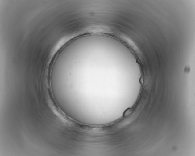 X0000091850986200709050932
