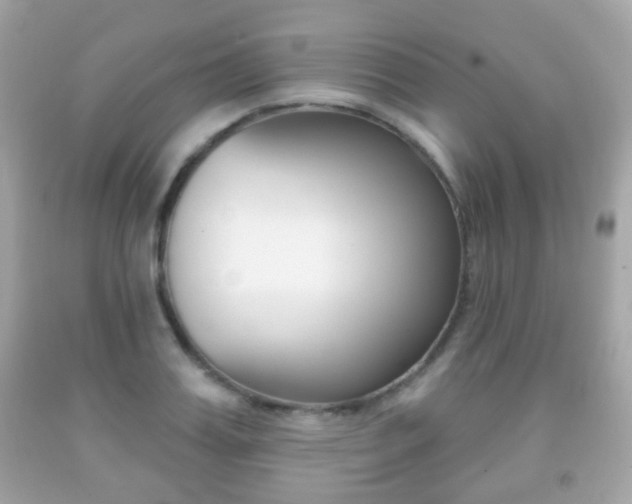 X0000091850987200709050932