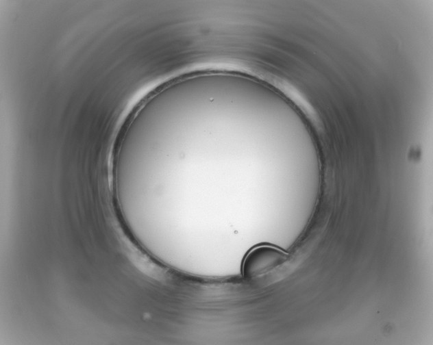 X0000091850988200709050931