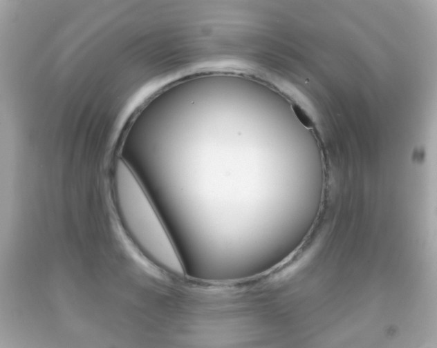 X0000091850989200709050931