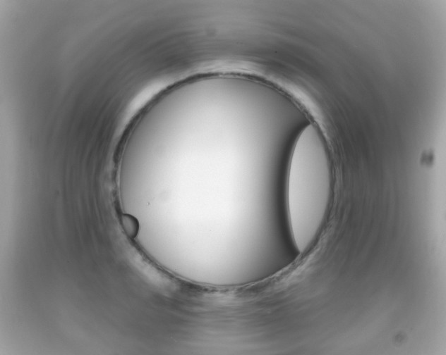 X0000091850990200709050931