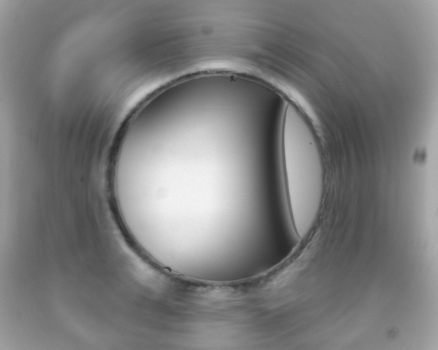 X0000091850991200709050931
