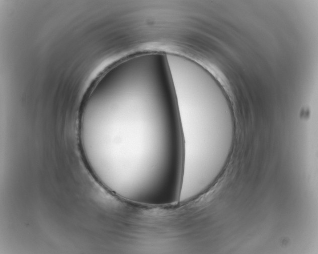 X0000091850992200709050931