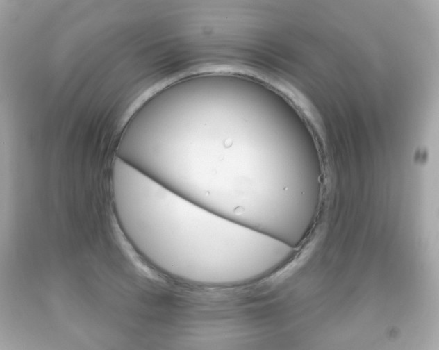 X0000091850993200709050931