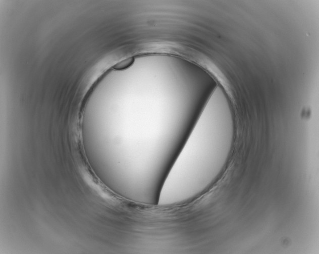 X0000091850994200709050931
