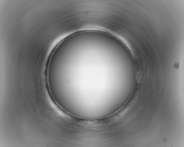 X0000091850995200709050931