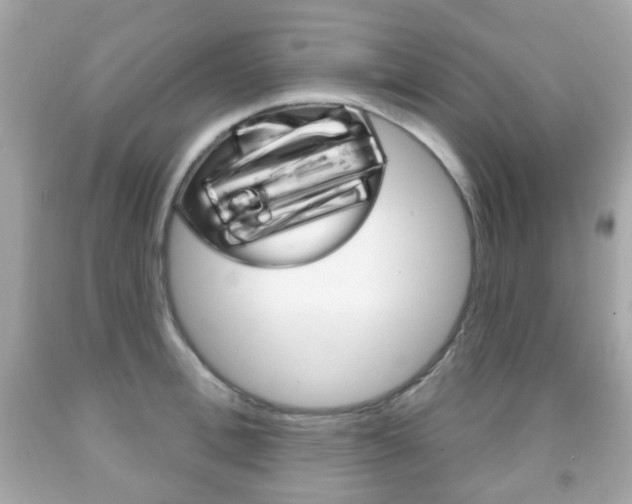 X0000091850996200709050931