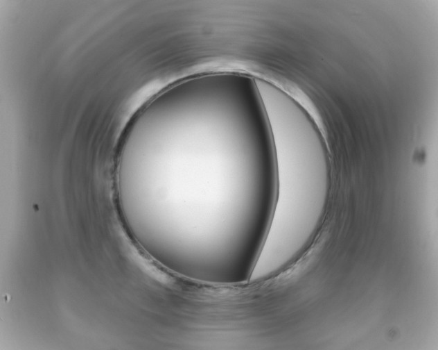 X0000091850997200709050931