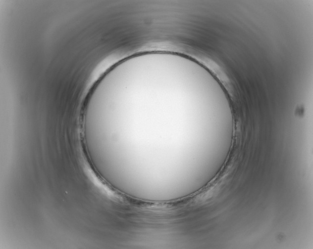X0000091850998200709050931