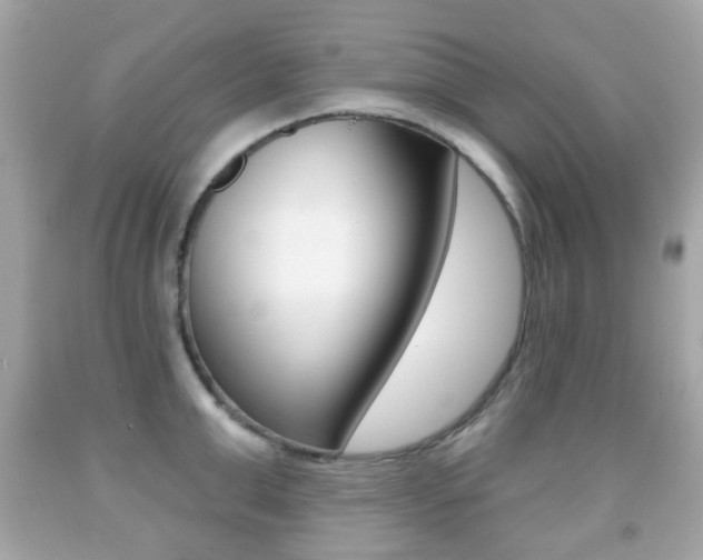 X0000091850999200709050931