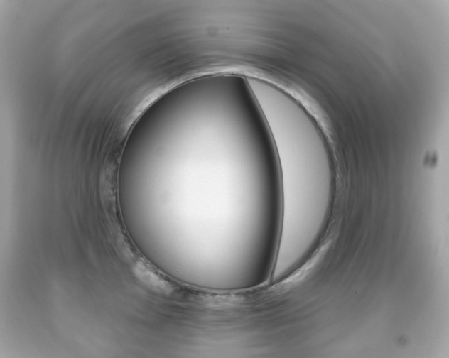 X0000091851001200709050931