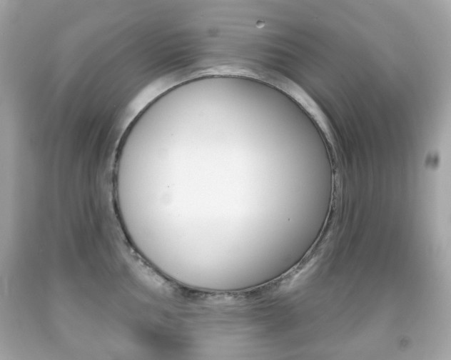 X0000091851002200709050931