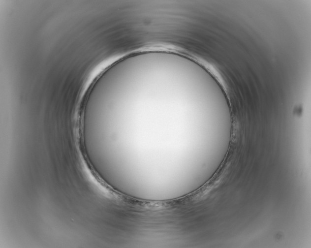 X0000091851003200709050931