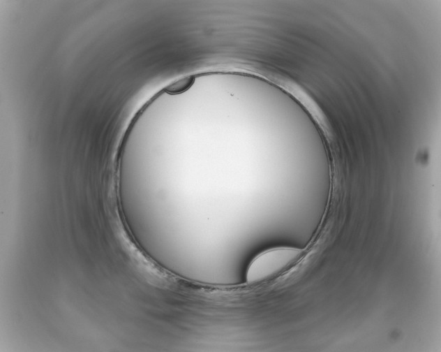 X0000091851004200709050931